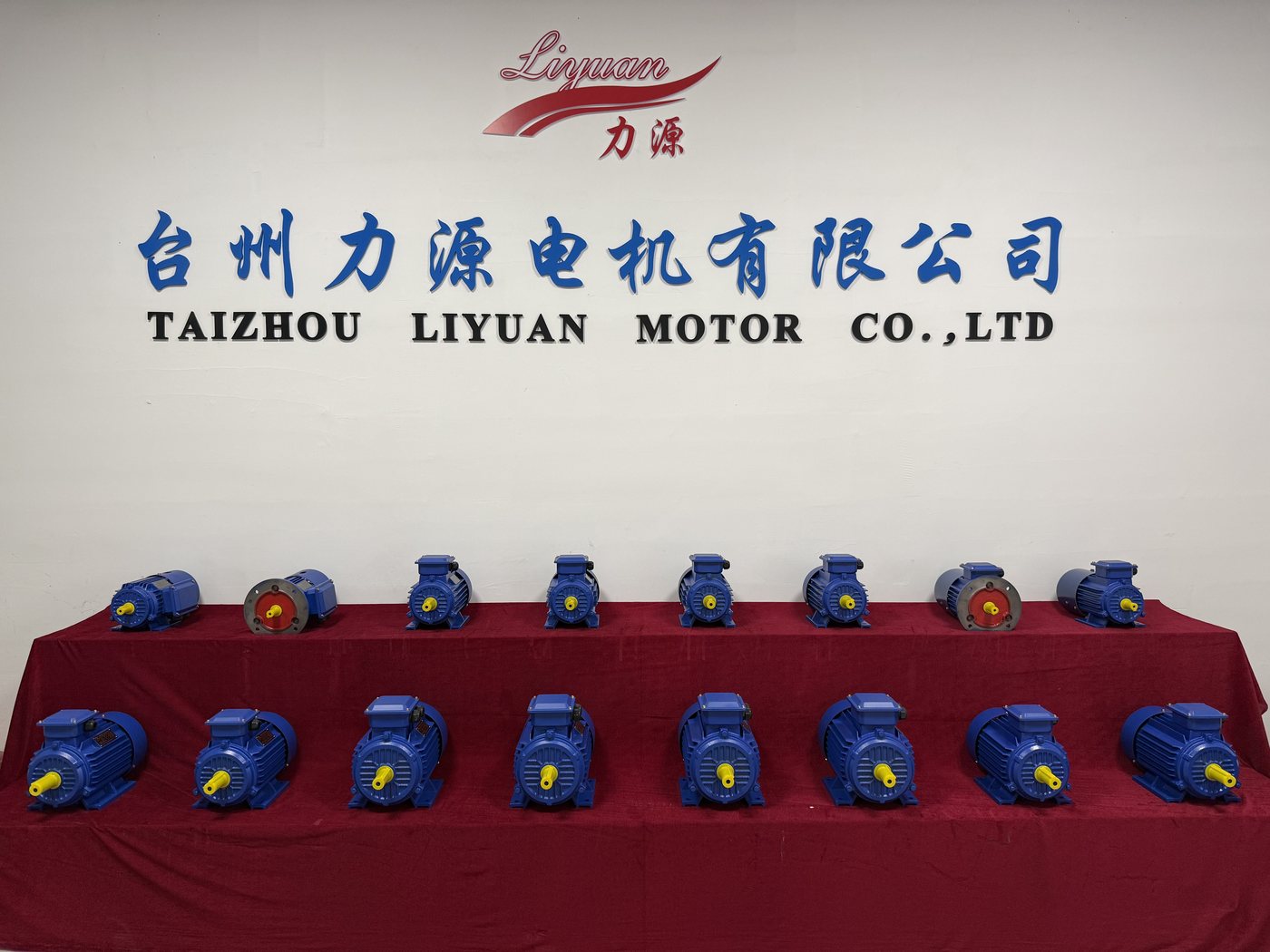 Liyuan Motor product display with electric motors